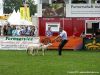 08HU-Messe-LandTageNord-2010083.jpg